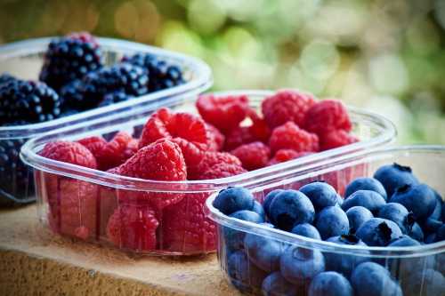 Consultation nutrition